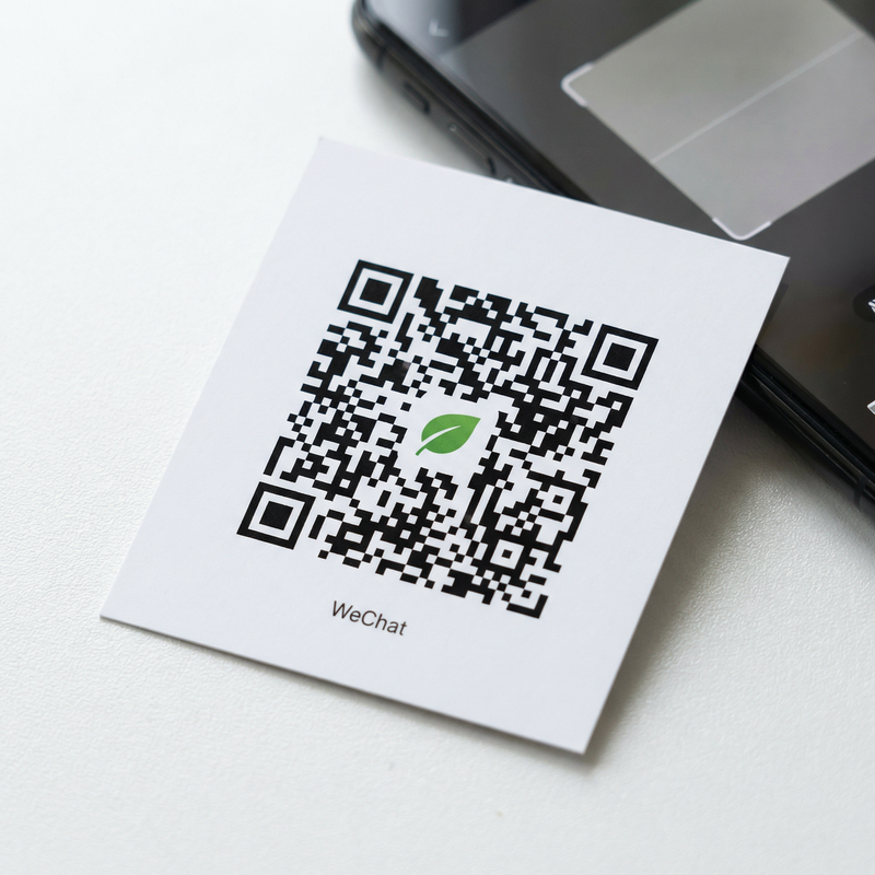 蘑菇视频公众号